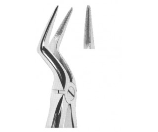 Extracting Forceps With Anatomically Shaped Handle